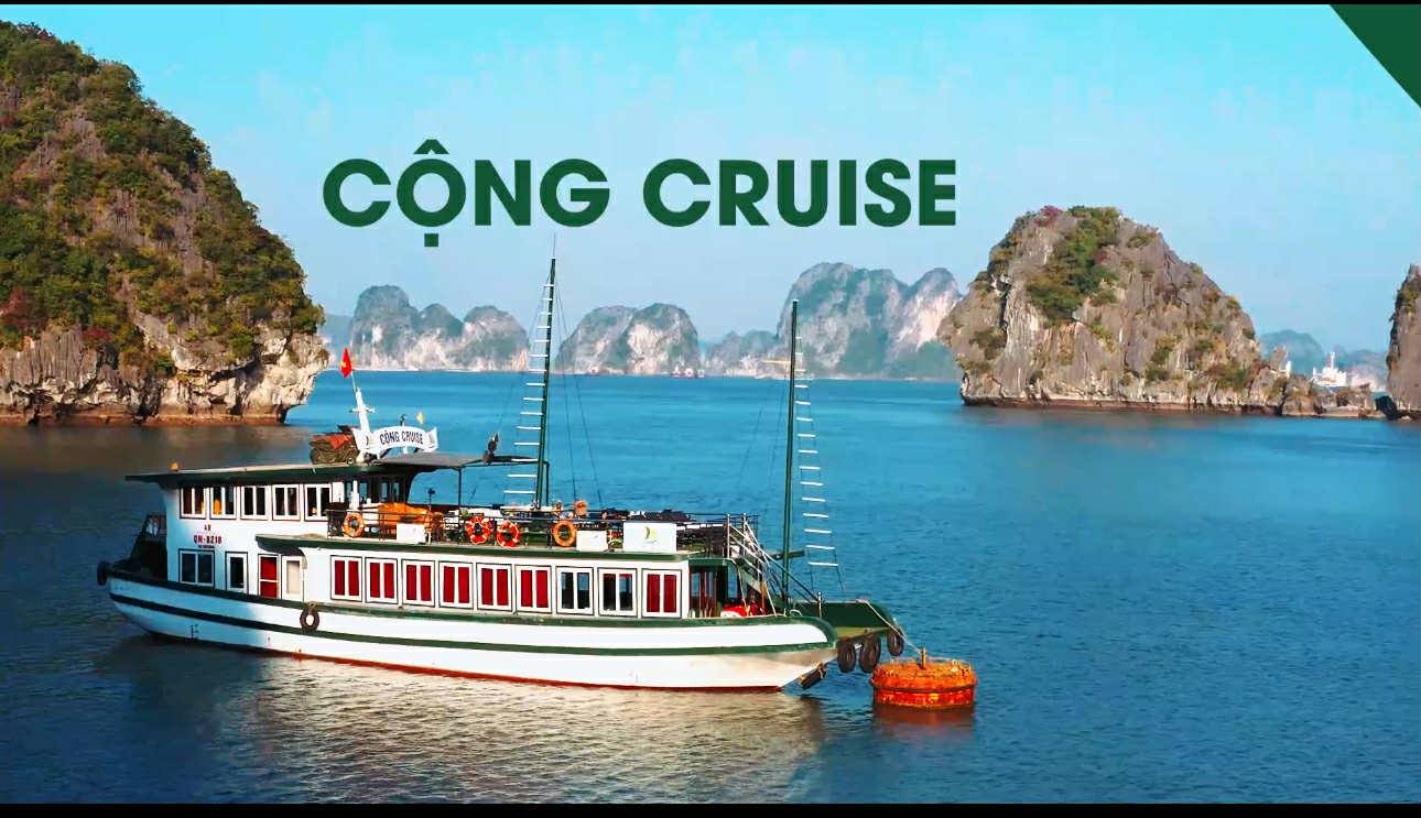 Cộng Cruise QN - 8218